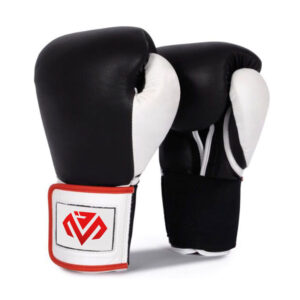 Predator Boxing Gloves