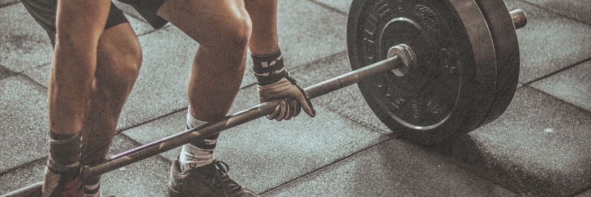 Fitness Gear