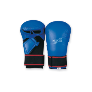 Karate Gloves