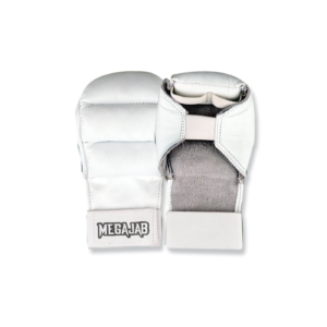 Karate Gloves
