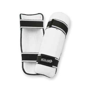 Shin In Steps/Guard
